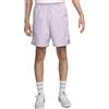 Nike Shorts Chino da Skateboard Sb Lilla