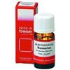 ERBORISTERIA MAGENTINA SRL ROSMARINO OLIO ESS 10ML