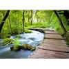 Runa Art Carta da parati fotografica ponte cascata 352 x 250 cm Vello Sfondo Murale XXL Moderne Decorazione Soggiorno Camera De Letto Sala Ufficio verde Beige 9035011a