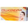 Oliverio Stilo Company COLLAGENEX PLUS 10 FLACONI DA 50 ML