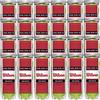 Wilson Padel Rush 100 Box (24 Tubi da 3 Palline)