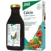 SALUS HAUS Gmbh & Co KG Calcium Mineral Drink 250ml
