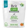 BRIT CARE Dog Grain-Free Adult large breed salmon con salmone per cani adulti di taglia grande 1kg