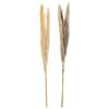DKD Home Decor Impianto Ornamentale, Standard