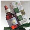 Sangalli Laboratorio Erboristico RIBES NERO TINTURA MADRE 100 ML