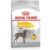 Royal Canin MAXI DERMACOMFORT KG. 12