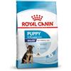 Royal Canin MAXI PUPPY KG. 4