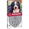 Elanco ADVANTIX CANI XL 40-60 KG 6 ml 6 PIPETTE - SCORTA