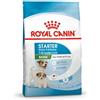 Royal Canin MINI STARTER M&B KG.8
