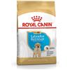 Royal Canin LABRADOR PUPPY 12 Kg.