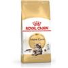 Royal Canin MAINE COON 2 Kg.