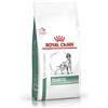 Royal Canin DIABETIC CANE V-DIET 12 Kg.