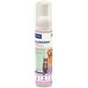 Virbac ALLERDERM FOAM 200 ML