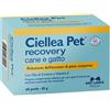 NBF Lanes CIELLEA PET RECOVERY 60 PRL