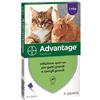 Elanco ADVANTAGE 80 GATTO 4 KG - 4 TUB.
