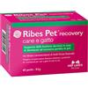 NBF Lanes NBF RIBES PET RECOVERY 60 PERLE