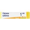 Calcarea Laboratoires Boiron Calcarea Sulfur Mk Gl 1 pz Globuli