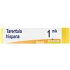 Tarentula Hispana Mk Gl 1 pz Globuli