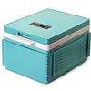 FBITE Dispositivo di raffreddamento elettrico portatile - Mini frigorifero da 12 litri, riscaldamento e raffreddamento per la casa e l'auto, display digitale.