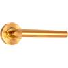Micel - 05651 - Set maniglia con rosetta (53 mm) e maniglia ad angolo retto, materiale acciaio inossidabile, colore oro PVD, 148 x 53 x 70 mm