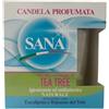 Cereria Di Giorgio - Candela in Cera Vegetale Sana al Tea Tree Oil, Balsamo del Tolu ed Eucalipto - Igienizzante e Antibatterica - Anti zanzare - Durata 44 ore