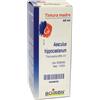 BOIRON® Aesculus Hippocastanum Tintura Madre Gocce 60 ml