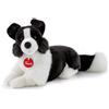 TRUDI Peluche Trudi Border Collie Scott M - REGISTRATI! SCOPRI ALTRE PROMO