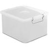 GIGANPLAST Cassetta box trasparente cm 40x30x22 litri 20 con coperchio