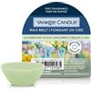 Yankee Candle Cucumber Mint Cooler 22g Candela Profumata