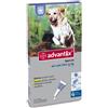 ELANCO BAYER VET Advantix Spot On Cani da 25-40kg 4 Pipette