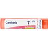 Cantharis BOIRON® Cantharis 7 Ch Granuli 1 pz