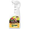 KB NATUREN SAPONE MOLLE A BASE DI OLIO D'OLIVA 750 ML pronto all'uso