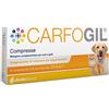 Shedir pharma srl unipersonale CARFOGIL 30CPR