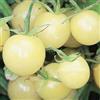 Haloppe 200 Pz Semi di Pomodoro per la Piantagione del Giardino Domestico, Semi di Pomodoro Verdure Dolci Semi di Piante per la Casa Bianco