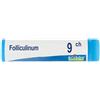 Folliculinum BOIRON® Folliculinum 9Ch Globuli 1 pz