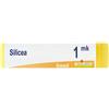 Silicea BOIRON® Silicea Mk Globuli 1 pz