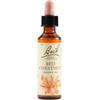 Bach Original Red Chestnut Rimedio omeopatico in gocce 20 ml