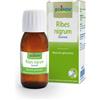 Boiron Ribes Nigrum gemme macerato glicerinato 60 ml