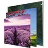 INFORMA Cornice portafoto a LED in bianco opaco, 3 cambi, a tema natura, senza cornice, 50 x 50 cm, 27 LED, motivi intercambiabili con stampa diretta UV