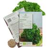 growgreens Semi di prezzemolo riccio biologiche - Semi di erbe aromatiche da coltivare in cucina, sul balcone, sul orto rialzato e in giardino