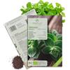growgreens Semi di origano biologiche - Semi di erbe aromatiche da coltivare in cucina, sul balcone, sul orto rialzato e in giardino