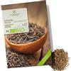 growgreens Semi di cumino biologiche - Semi di erbe aromatiche da coltivare in cucina, sul balcone, sul orto rialzato e in giardino