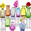 INFTYLE Set di 12 vasi in vetro, piccoli vasi per fiori, vasi singoli colorati in massa, mini vaso rustici decorativi per centrotavola, bottiglie di vetro vintage per matrimoni, casa, set regalo da tavolo