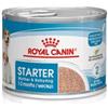 Royal Canin Starter Mousse 195g Lattina Cani Cuccioli e Femmine