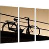 Cuadros Camara Quadro Su Legno, paesaggio Sunset Bike, Bike, 97 x 62cm, Stampa in qualita fotografica. Ref. 26803