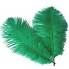 Sowder Ostrich Feathers Plume for wedding centerpieces Home Decoration 14-16 inch verde scuro