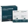 BIOS LINE SpA Principium Collagene Marino 20 Bustine - Integratore di Collagene marino con acido ialuronico, prolina e vitamina C