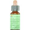 PROMOPHARMA Florit - 9 Clematis (Vitalba) 10ml