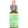 PROMOPHARMA Florit - 15 Holly (Agrifoglio) 10ml
