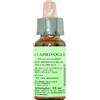 PROMOPHARMA Florit - 16 Honeysuckle (Caprifoglio) 10ml